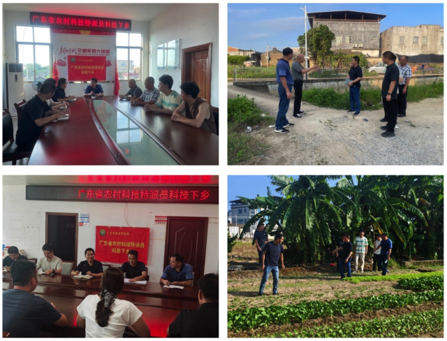 特派员团队现场服务湖东镇竹新村、竹湖村