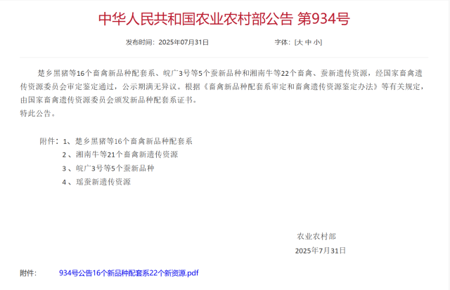 广东省农业科学院动物科学研究所主导保育的陆丰牛通过国家畜禽遗传资源鉴定