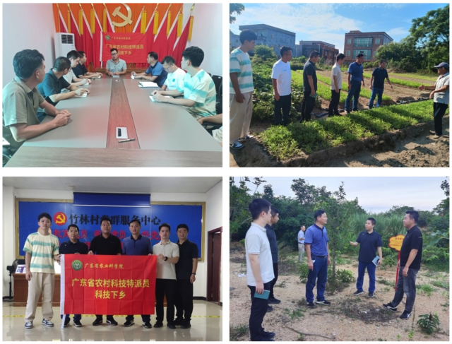特派员团队现场服务湖东镇后陂坑村、竹林村