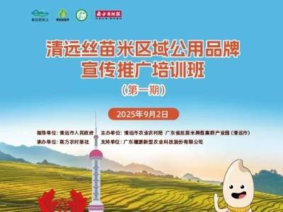 各种技巧，拿捏住了！名师教你怎么拍摄清远丝苗米爆款视频