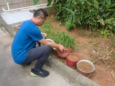 免费领镜片！横岗巧用“虚拟社区”送福利，商户客流营业额双增