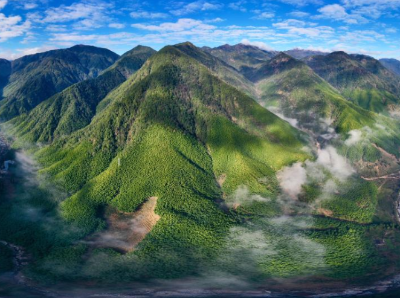 中国科学家开发新模型，可实时估算全球植被排放