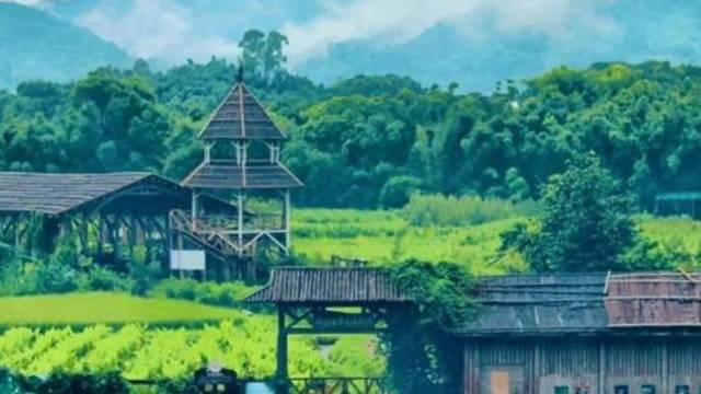 文旅招商火热，重点项目提速｜中山“百千万”·每周荐