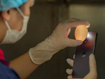 视频|15小时热销超4万枚，阳西红心鸭蛋为何能爆单？