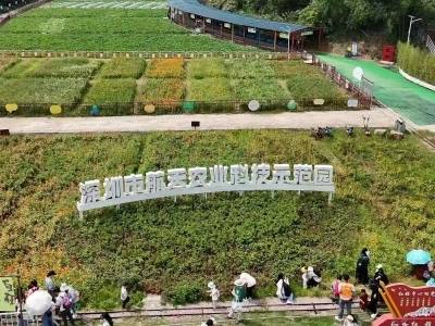 六约南社区：名书记工作室领航聚力，凝聚人心共解民生题