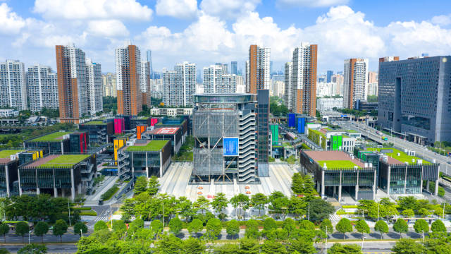 AI赋能政策红利，前海“港澳青年12条”补贴申报量倍增