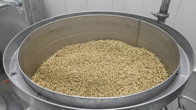 用于酿酒的小麦。 用于酿酒的小麦。