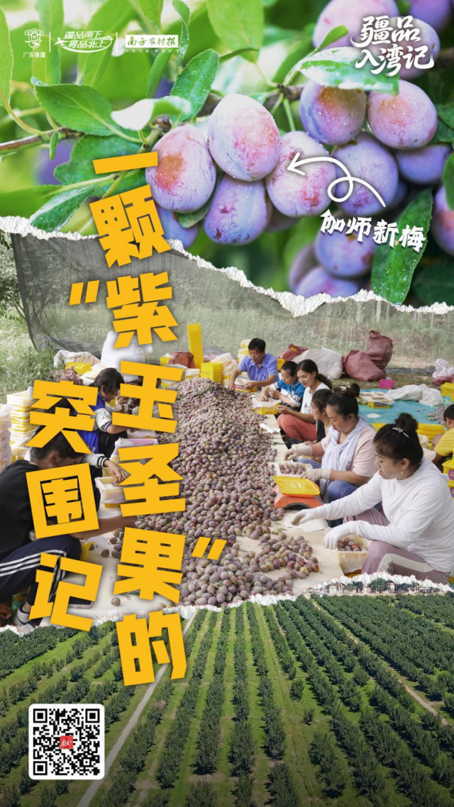 受访者供图