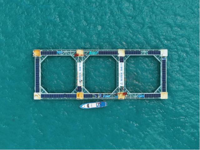 海威2号设计养殖水体3万立方米，每立方米水体可养殖20公斤鱼类，单个养殖周期可收获超100万斤优质深远海养殖鱼类。（蓝东旭 摄）