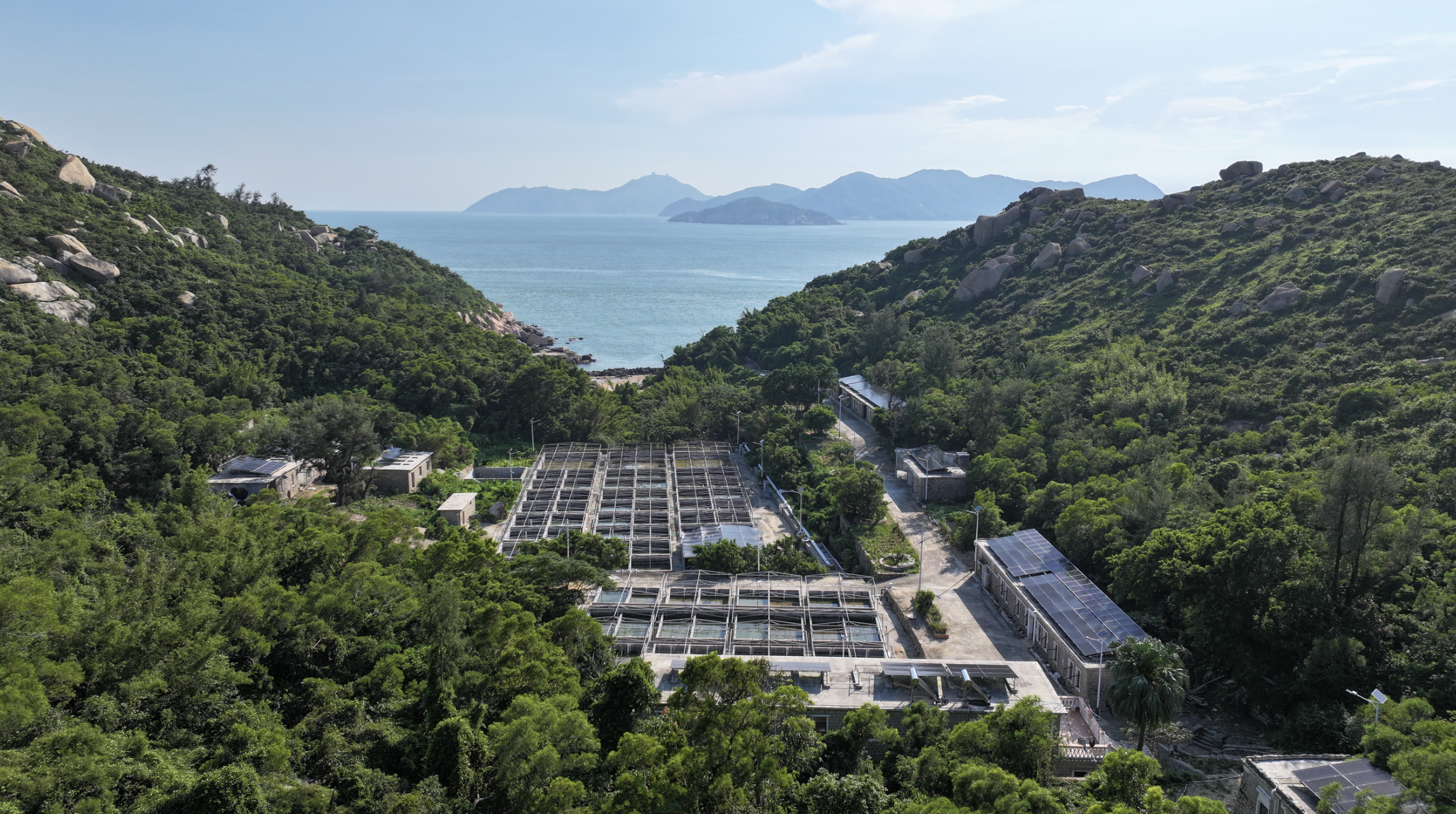 位于竹洲一处山坳的海水种苗创新中心。南方日报、南方+记者 关铭荣 摄