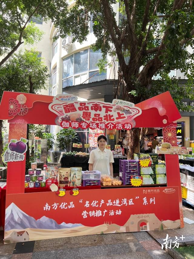 贵州出台方案力推“三大行动”落地见效