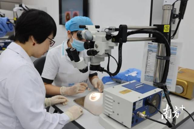 广东眼科专家在中山大学国际眼科医学中心新疆分中心指导本地医生开展眼科手术。 广东眼科专家在中山大学国际眼科医学中心新疆分中心指导本地医生开展眼科手术。