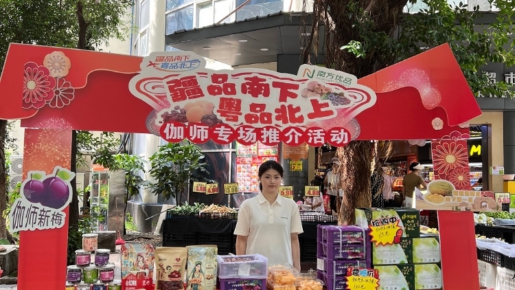 伽师好物“圈粉”湾区：以疆品为媒，链通湾区