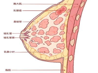 太绝了，原来乳腺癌还能这样治！