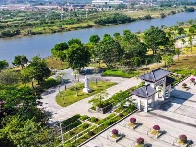 石湾镇党委书记曾健锋：以“小城市标准”为靶心精准补短板