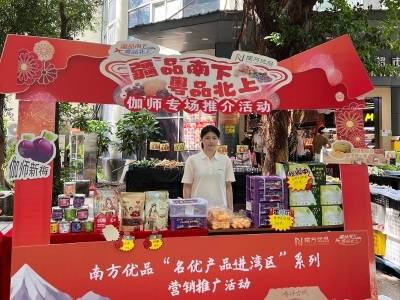 伽师好物“圈粉”湾区：以疆品为媒，链通湾区