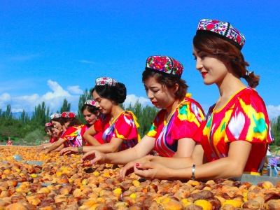 撬动全网热度暴涨百倍，一颗“黄金果”的逆袭路 | 疆品入湾记②