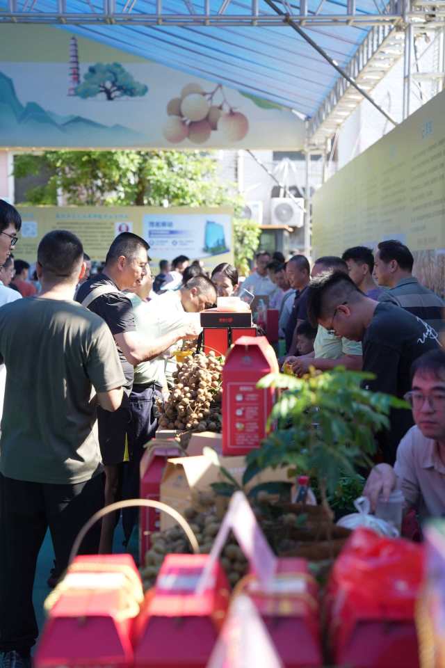 2025年广东高州龙眼品鉴会暨产销对接大会活动现场