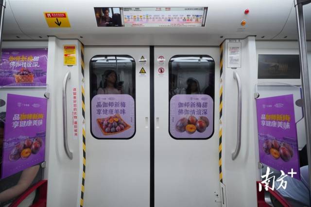 科普、职业体验、代言……珠海这堂生态实践教育课有意思