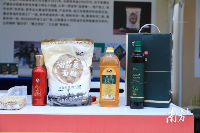 有中国游客在日本参与滑翔伞活动时坠海，中使馆提醒