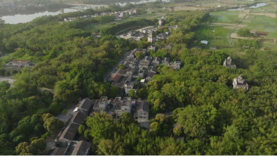 2024年,开平市90%以上行政村达到美丽宜居标准。 2024年,<strong></strong>开平市90%以上行政村达到美丽宜居标准。