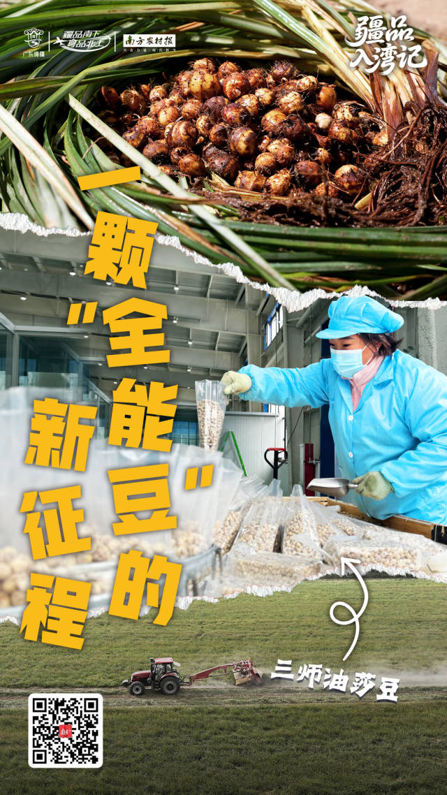 受访者供图