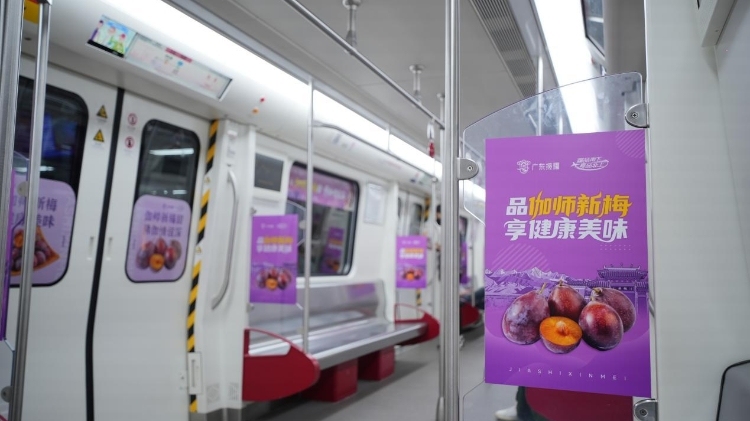 伽师新梅地铁专列，广佛线见！