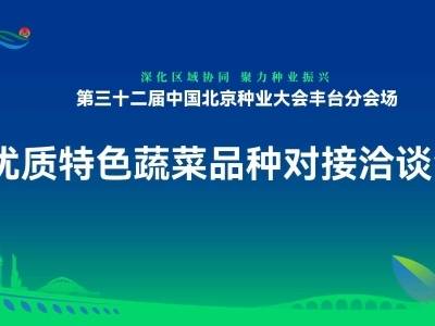 优质特色蔬菜品种对接洽谈会 | 第三十二届中国北京种业大会丰台分会场