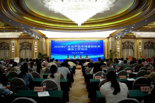 南方农村报 王富迪 拍摄