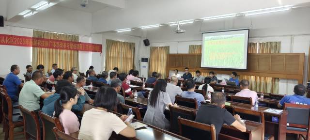 防病害，解难题！农业科技特派员助力晚造水稻生产