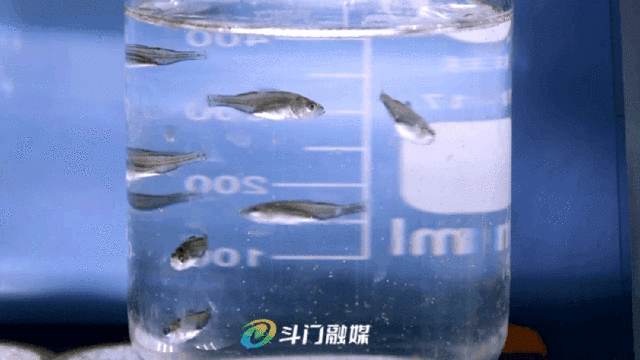 前7月汕头工业产业结构优化,新动能投资稳步增长