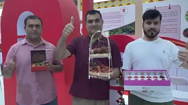 从南海到南疆！广东的鱼和天山的羊，终于凑成了“鲜”