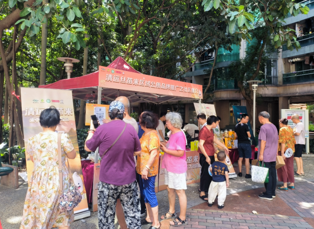加沙地带卫生部门呼吁保护医院和医务人员安全