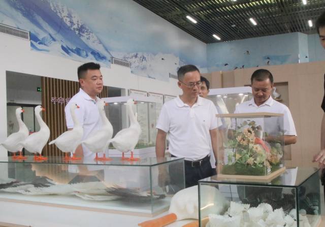 考察团调研重庆市三惠威威食品科技有限公司鹅文化展厅。