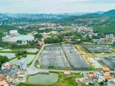 韶关武江“诗意马屋”的振兴之路：生态美、产业兴、百姓富