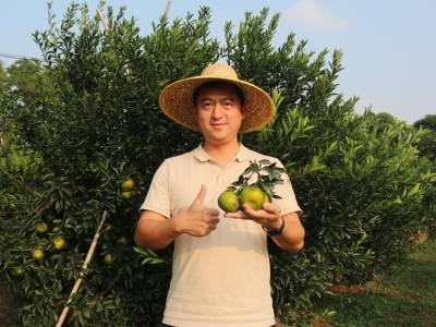 百千万·新农人｜陈健荣：在陈皮产业“种”出科技新芽