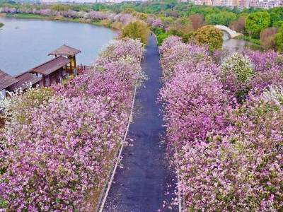 海珠取景、闪耀威尼斯，还有这些“光影故事”从广州海珠出发