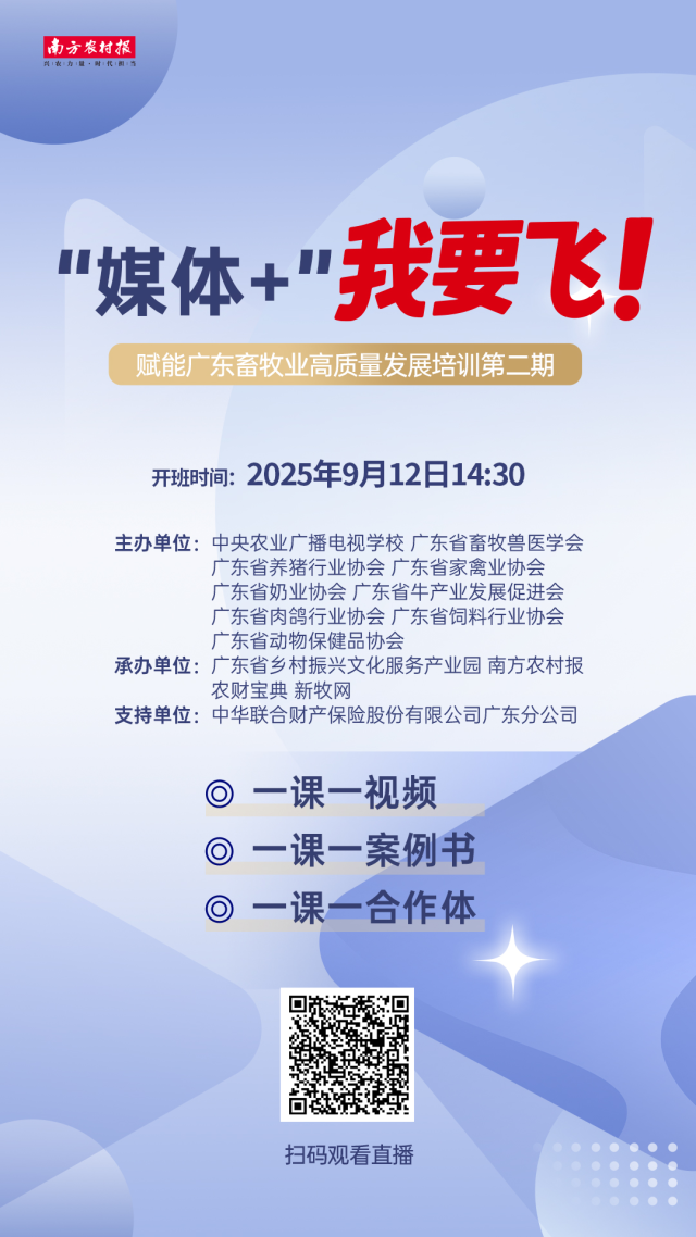 超300名韩国人在美被抓 两国各执一词 一文梳理韩美“罗生门”