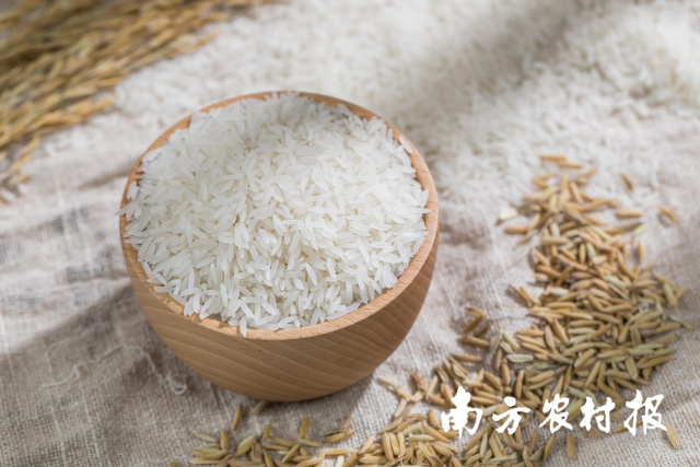 通讯丨鲁班工坊助力哈萨克斯坦学子逐梦世界技能舞台