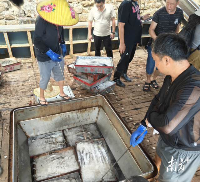 甘肃省开展农村假冒伪劣食品集中整治攻坚行动
