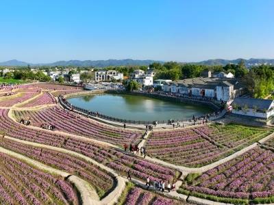 绿水青山，皆可生辉！“百千万工程”人文经济学的东源实践