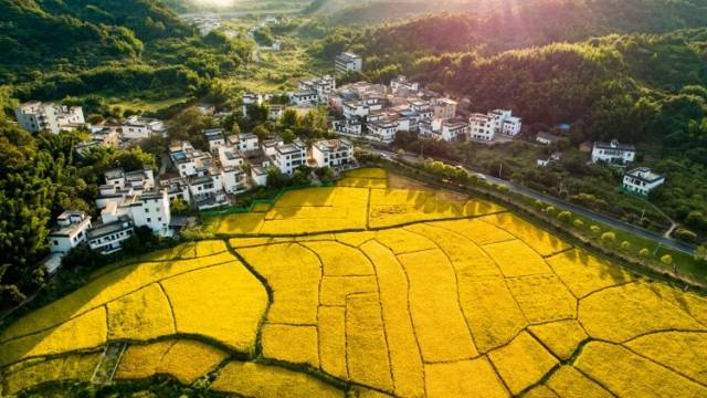 124件作品晋级！“粤来粤好百千万”爆款大赛首批入围名单公布