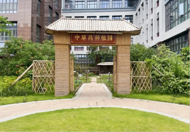 记者手记｜美关税政策给土耳其汽车业带来多重风险