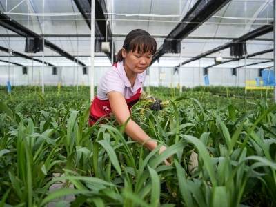 就业不必去远方！粤桂劳务协作托起“家门口的幸福”