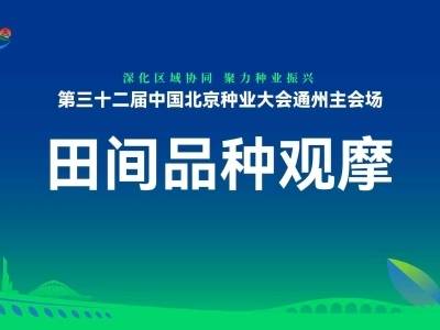 田间品种观摩|第三十二届中国北京种业大会