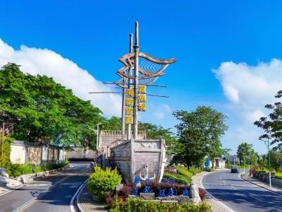 阳江阳西两镇入选广东第三批“百千万工程”专业镇