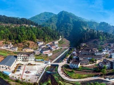 攻关“种业芯片”，助贵州百年贡茶香飘湾区｜穗毕同心①