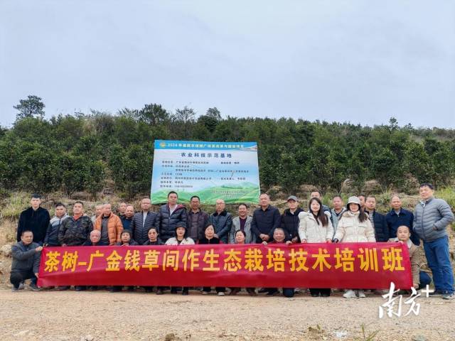客都卫士风采录⑧丨梅州市中级人民法院刑庭副庭长曾园芳：把“刚柔并济”写进司法答卷