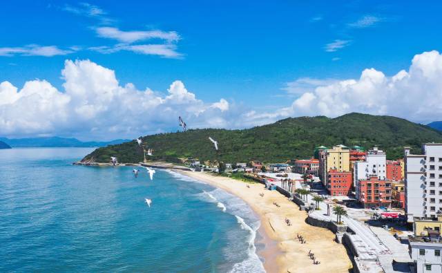 深圳滨海旅游正蓬勃发展。