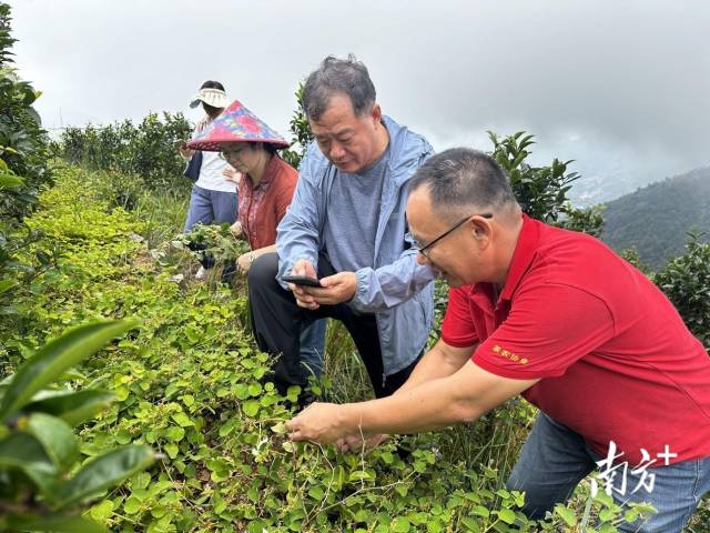 港股收盘(07.25) | 恒指下跌1.09% 结束五连涨 半导体股午后表现强劲 维立志博-B(09887)首挂飙升91%